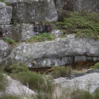 Photo de france - La randonnée du Mont Caroux